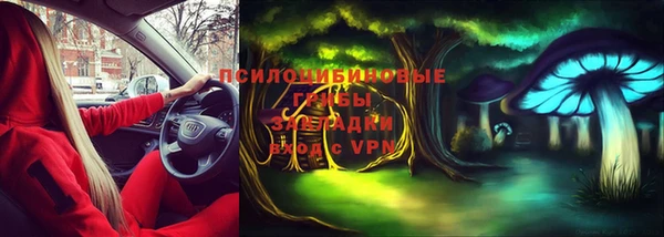 ПСИЛОЦИБИНОВЫЕ ГРИБЫ Алексин