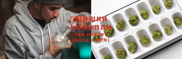 ПСИЛОЦИБИНОВЫЕ ГРИБЫ Алексин