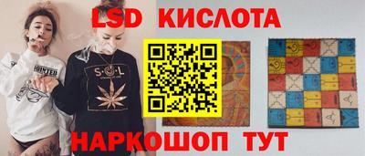 PSILOCYBIN Кунгур