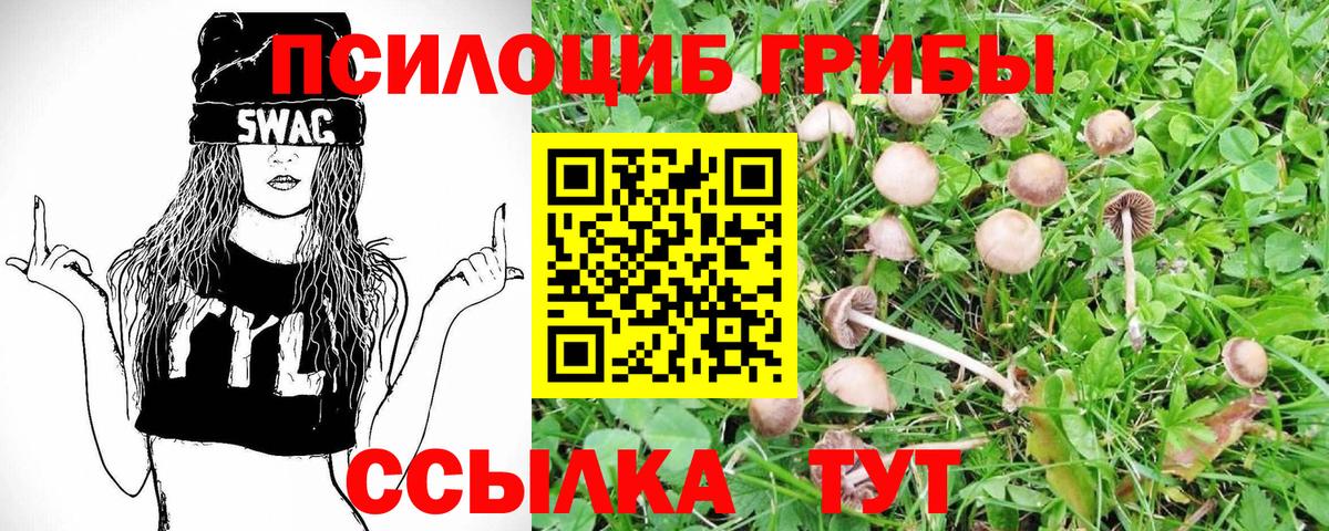 Галлюциногенные грибы мицелий Ишим