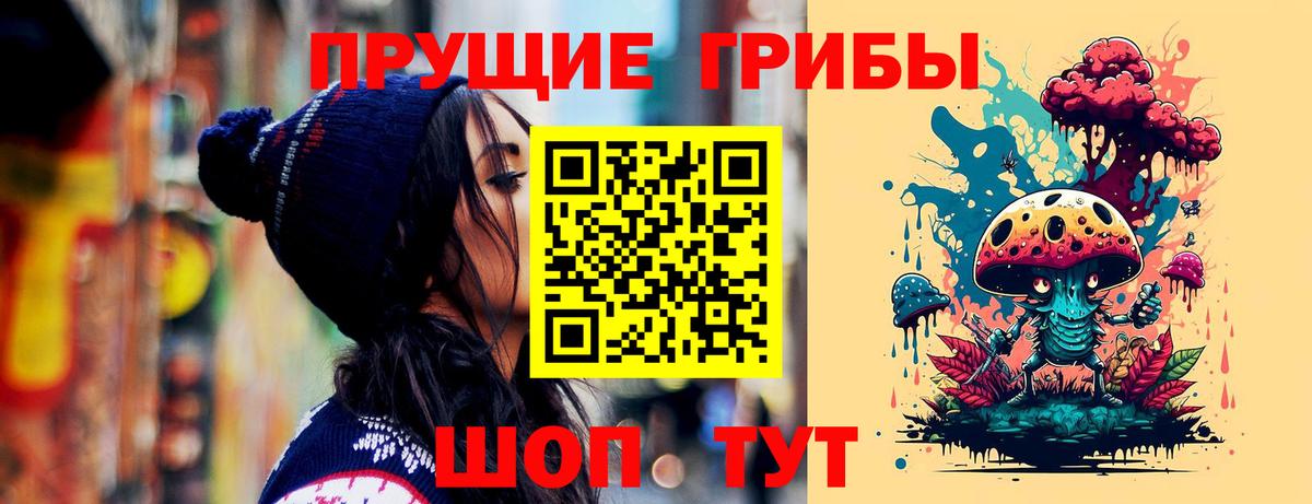 Ишим  Галлюциногенные грибы Cubensis  Вход с VPN 